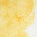 Turners Yellow
